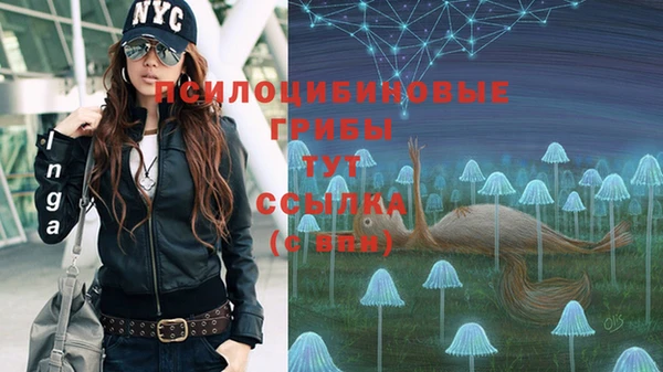 спиды Балабаново