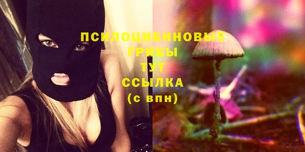 спиды Балабаново
