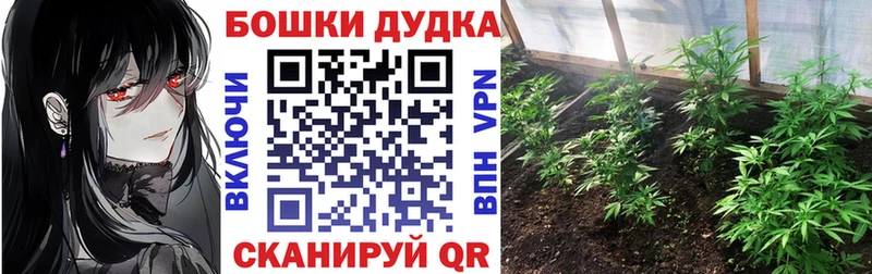 закладка  Котовск  OMG ТОР  Конопля конопля 